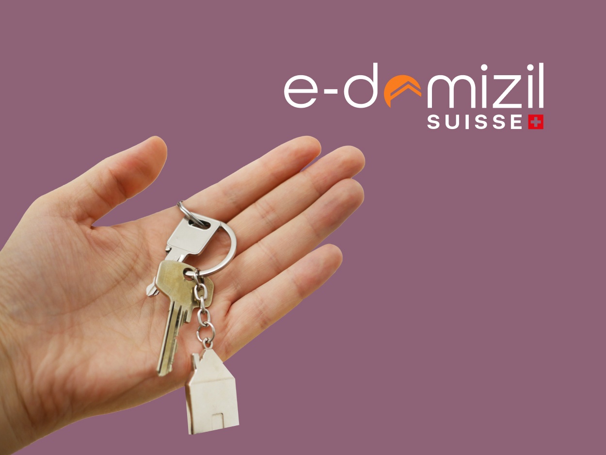 edomizil Schmid, Pelli und Partner AG